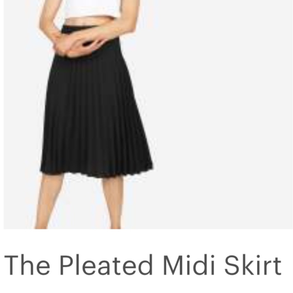Everlane midi pleated skirt